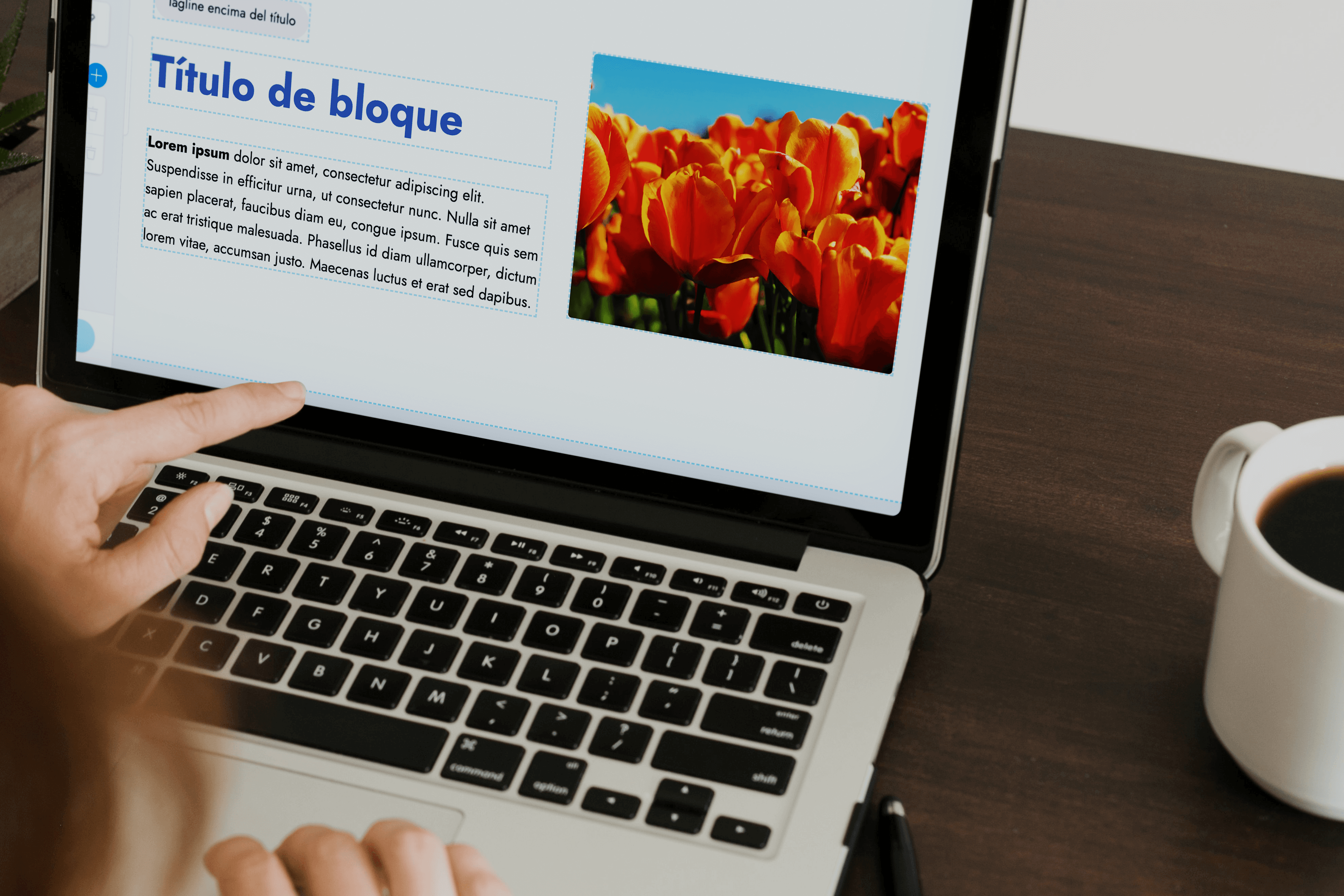 editor marte cms